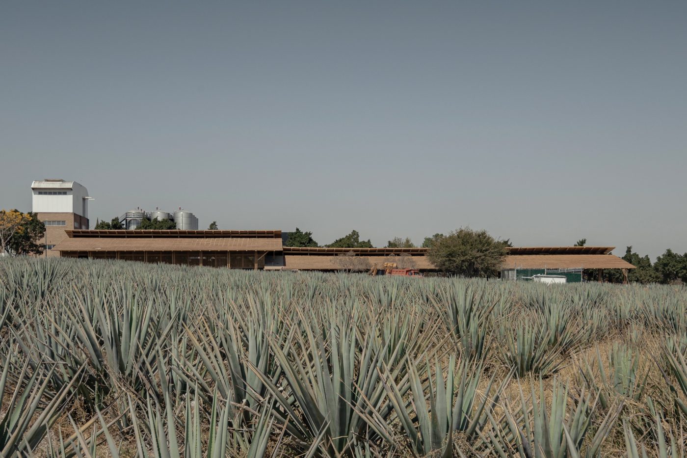 Brick Award 26 Nominee Mezcal Production Palenque - Estudio Ala
