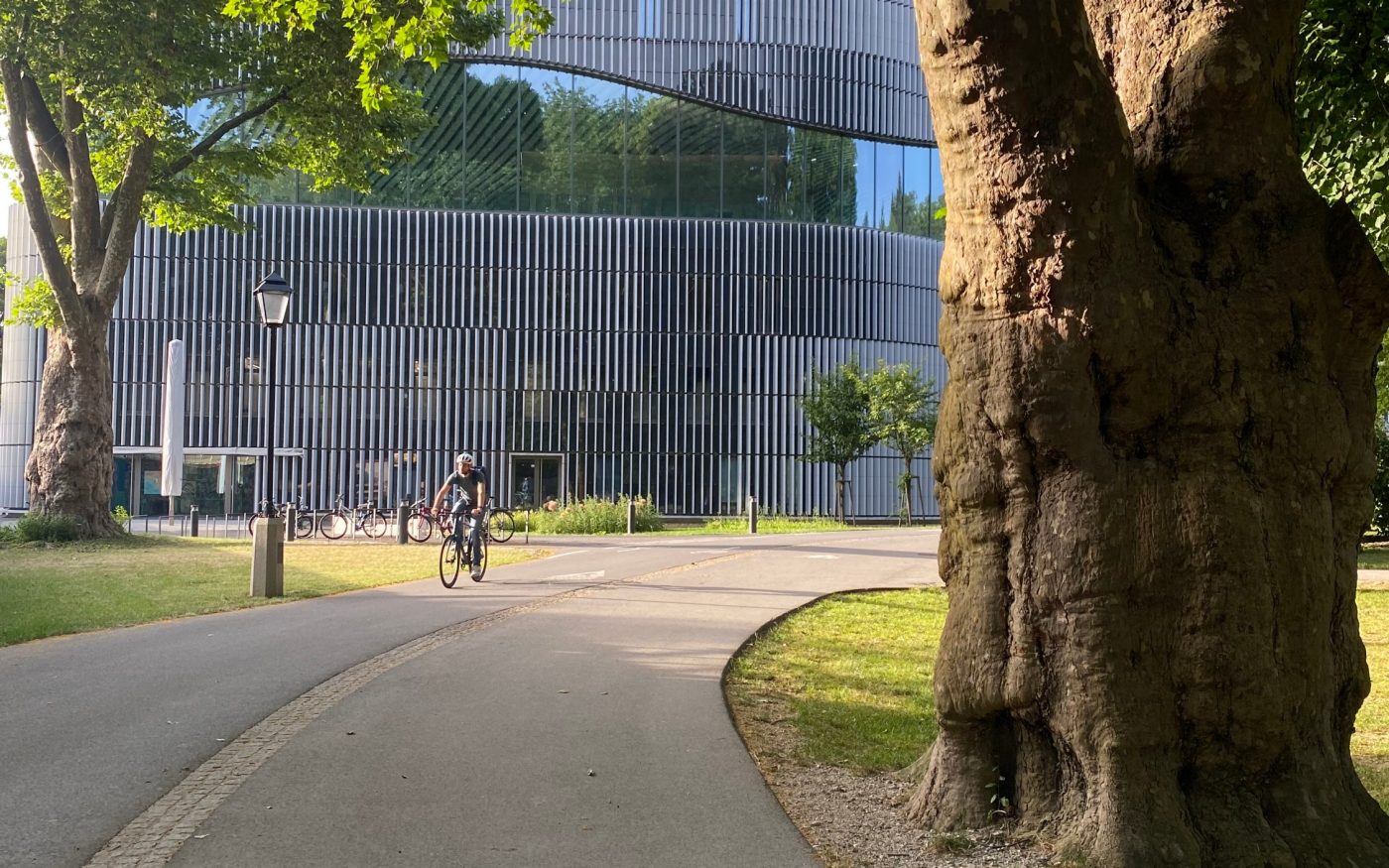 InsighTour Paracelsusbad