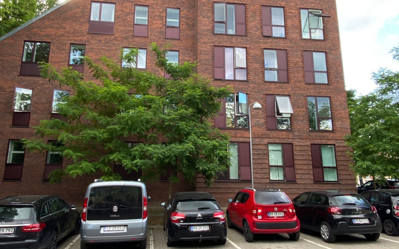 InsighTour Falkoner Alle