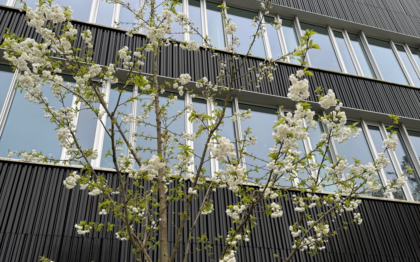 Brick Award 24 InsighTour HARBOR Hamburg Advanced Research Center