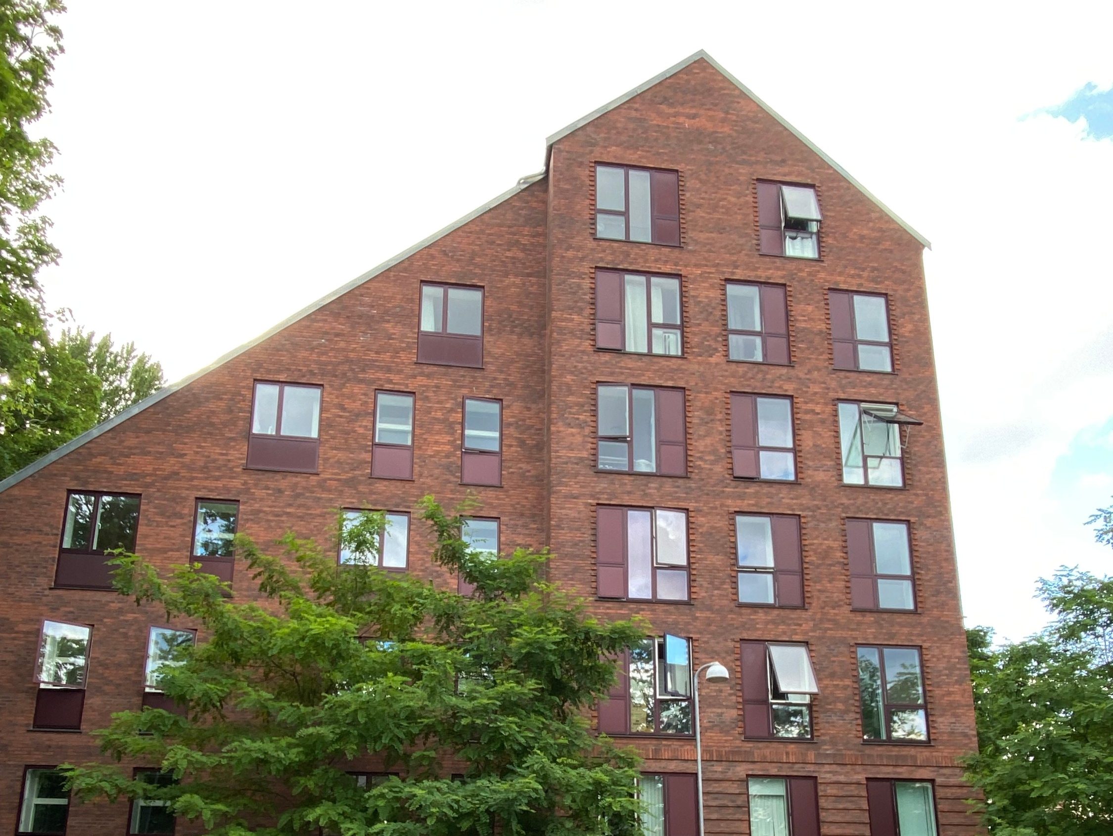 InsighTour Falkoner Alle